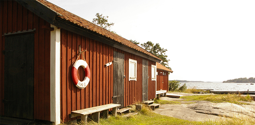 Senaste Nytt